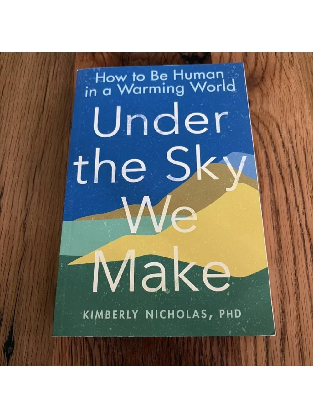 Under the Sky We Make: How to Be Human in a Warming World by Kimberly Nicholas